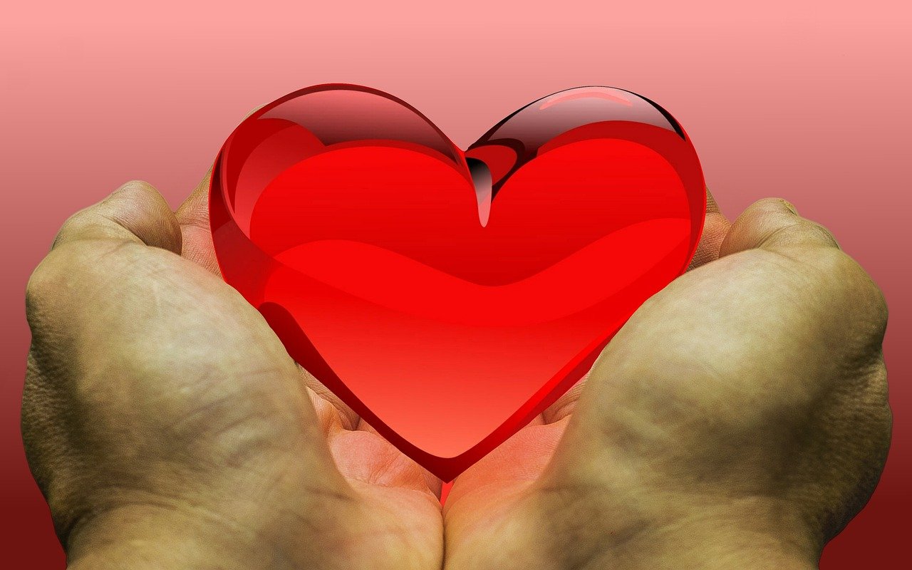 feeling, love, heart, donation, donate, gratitude, thank you, donation, donation, donation, donation, donation, donate, donate, donate, donate